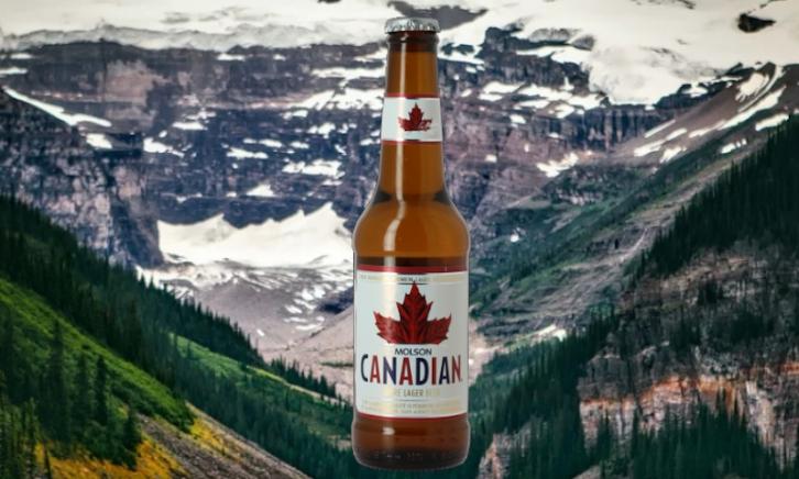 Molson Canadian Lager Bier Biernetnl